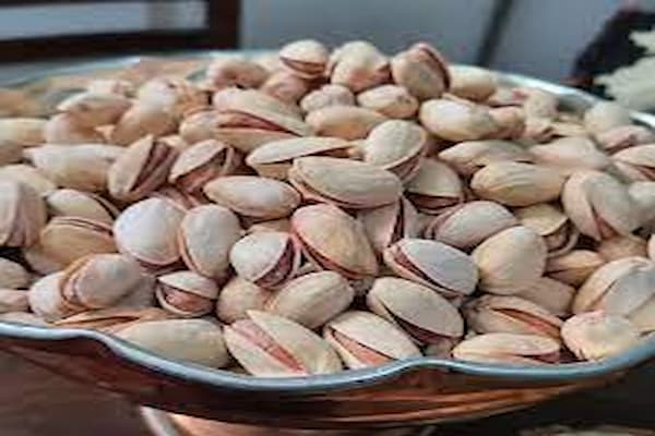 تصویر 3 از قیمت خرید پسته اکبری اعلاء + فروش ویژه